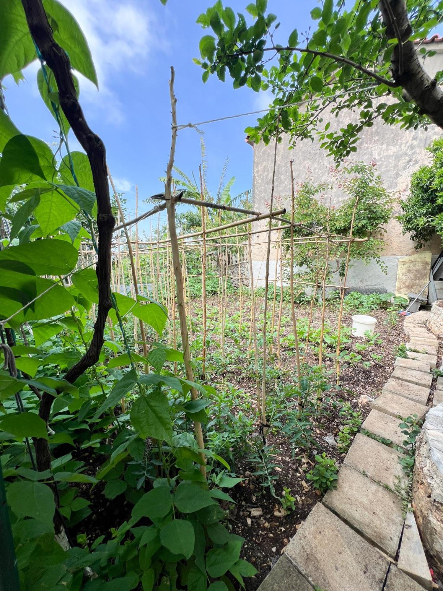 Petra Oliva Apartment Dhermi Exterior photo